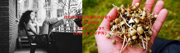 гидра Гусев