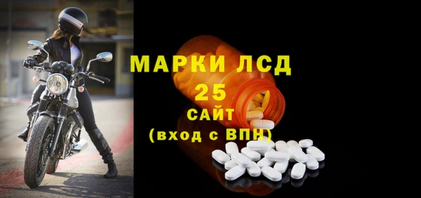 гидра Гусев