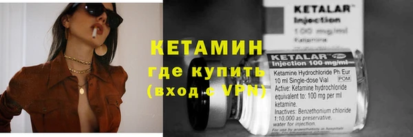 гидра Гусев