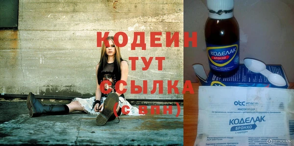 гидра Гусев