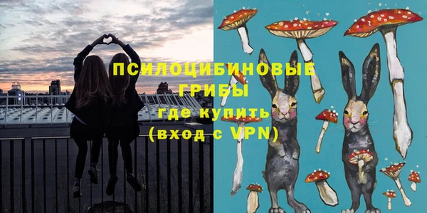 метадон Горняк