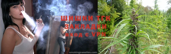 гидра Гусев