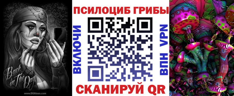 Псилоцибиновые грибы мицелий Грозный