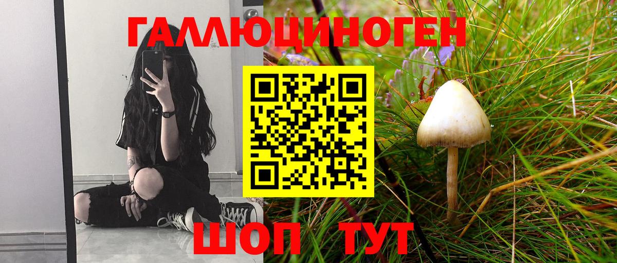 Галлюциногенные грибы Cubensis  Галлюциногенные грибы Cubensis  Грозный  Вход с VPN 