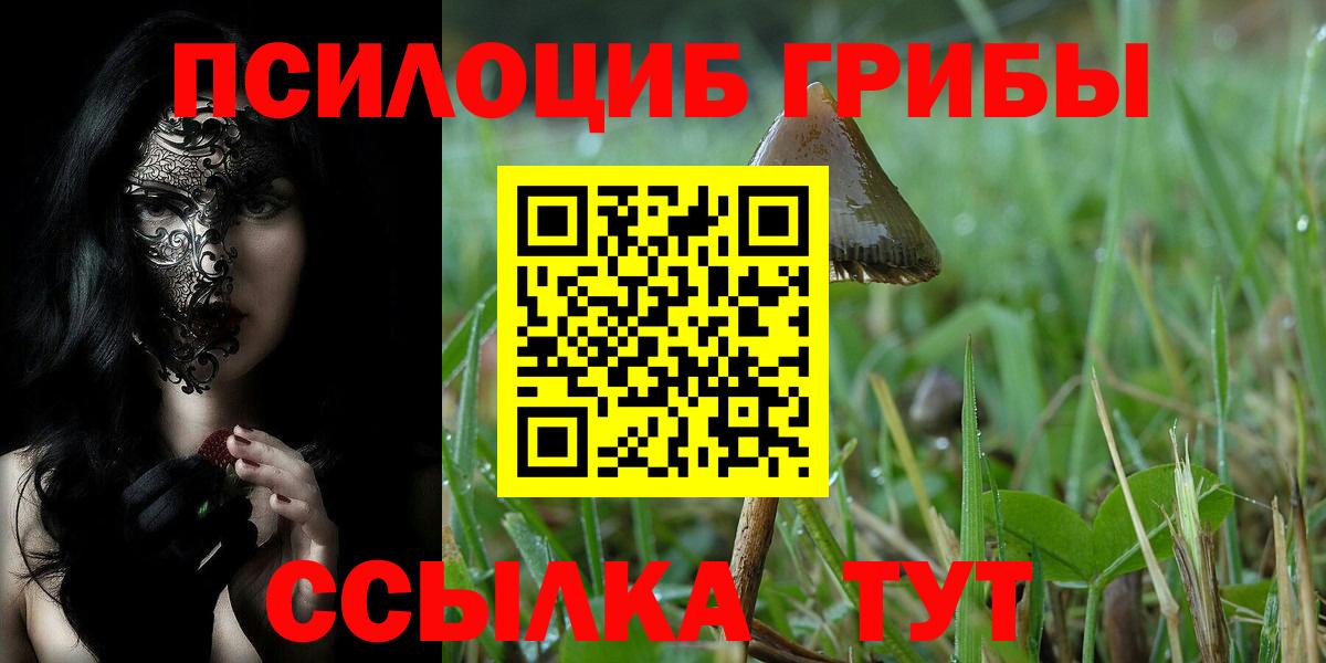 Галлюциногенные грибы мицелий  Грозный 