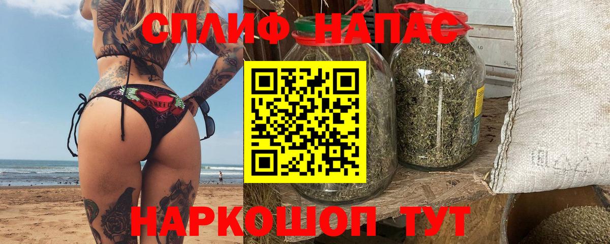 Конопля семена Грозный